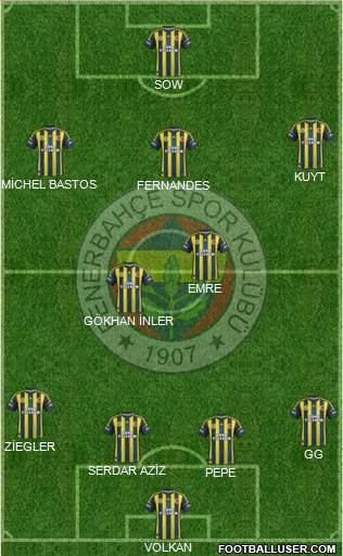 Fenerbahçe SK Formation 2013