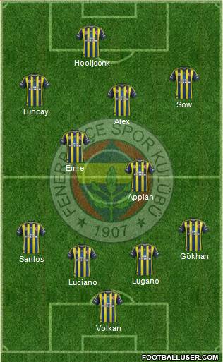 Fenerbahçe SK Formation 2013