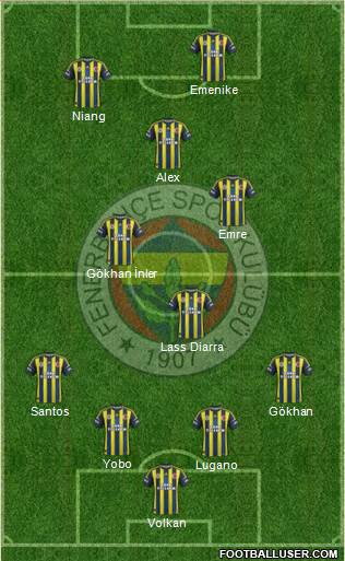 Fenerbahçe SK Formation 2013