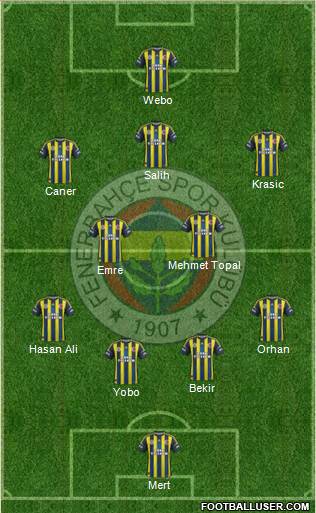 Fenerbahçe SK Formation 2013