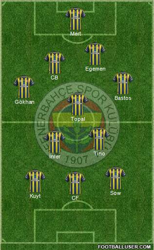 Fenerbahçe SK Formation 2013