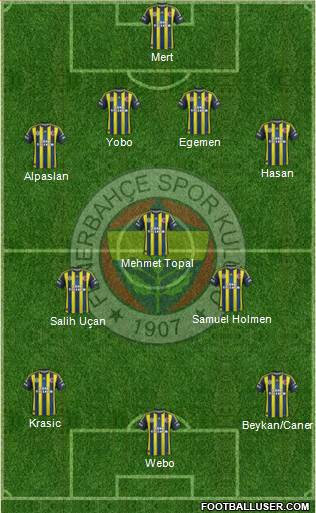 Fenerbahçe SK Formation 2013