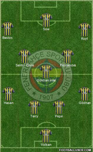 Fenerbahçe SK Formation 2013