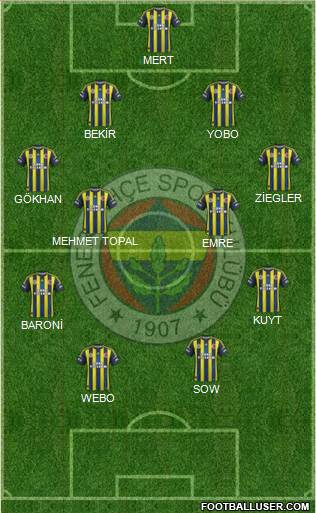 Fenerbahçe SK Formation 2013