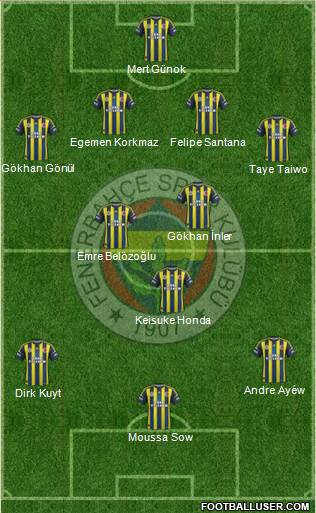 Fenerbahçe SK Formation 2013