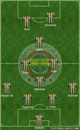 Fenerbahçe SK Formation 2013