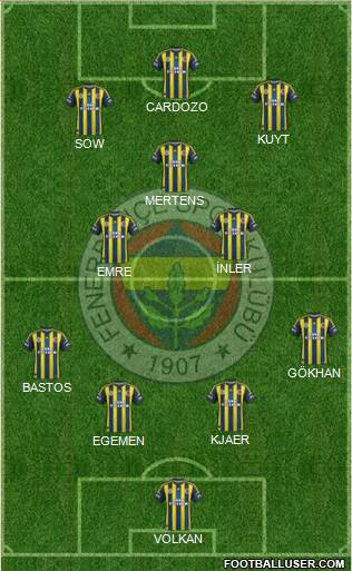Fenerbahçe SK Formation 2013