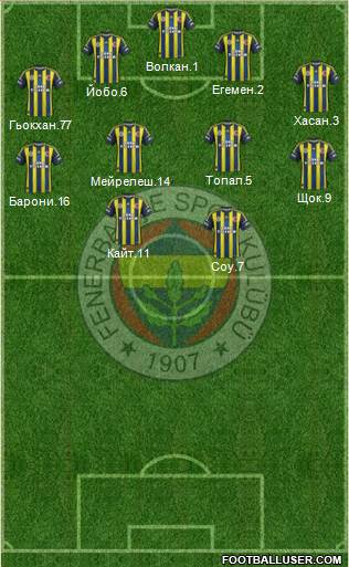 Fenerbahçe SK Formation 2013