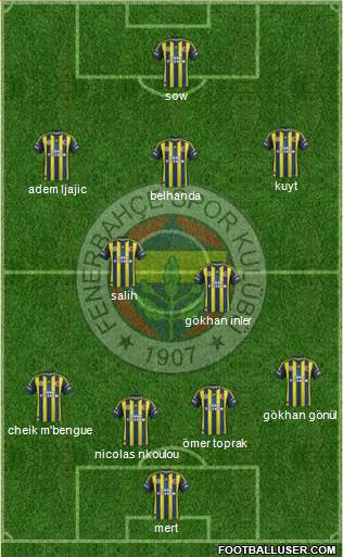 Fenerbahçe SK Formation 2013