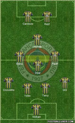 Fenerbahçe SK Formation 2013