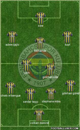Fenerbahçe SK Formation 2013
