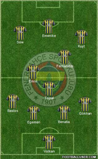 Fenerbahçe SK Formation 2013