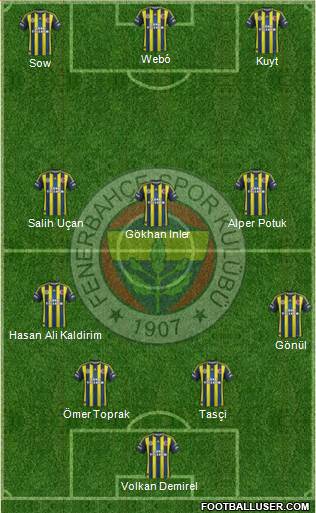 Fenerbahçe SK Formation 2013