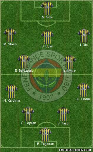 Fenerbahçe SK Formation 2013