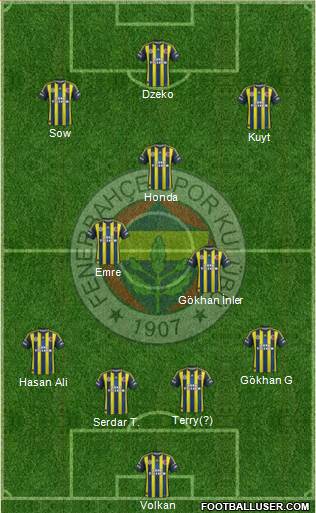 Fenerbahçe SK Formation 2013