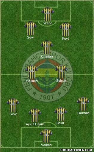 Fenerbahçe SK Formation 2013