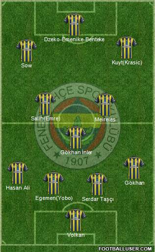 Fenerbahçe SK Formation 2013