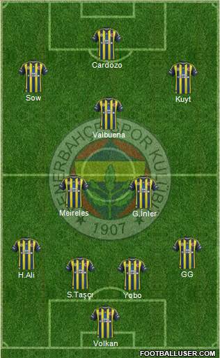 Fenerbahçe SK Formation 2013