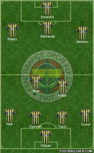 Fenerbahçe SK Formation 2013