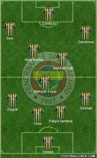 Fenerbahçe SK Formation 2013