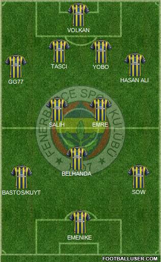 Fenerbahçe SK Formation 2013