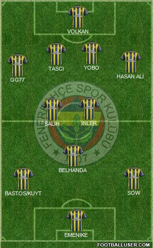 Fenerbahçe SK Formation 2013