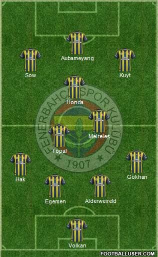 Fenerbahçe SK Formation 2013