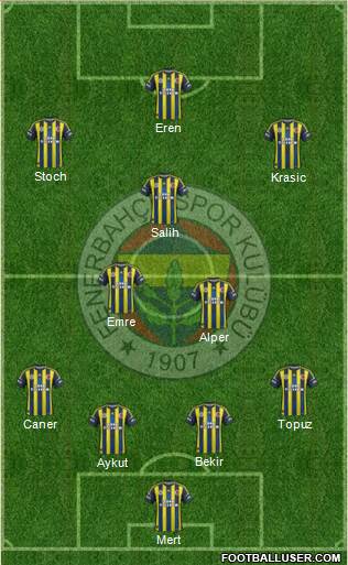 Fenerbahçe SK Formation 2013