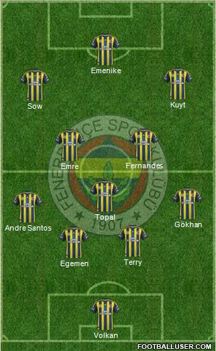 Fenerbahçe SK Formation 2013