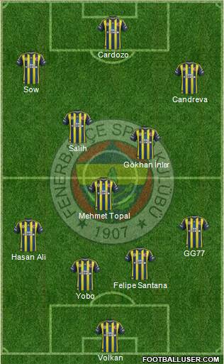 Fenerbahçe SK Formation 2013