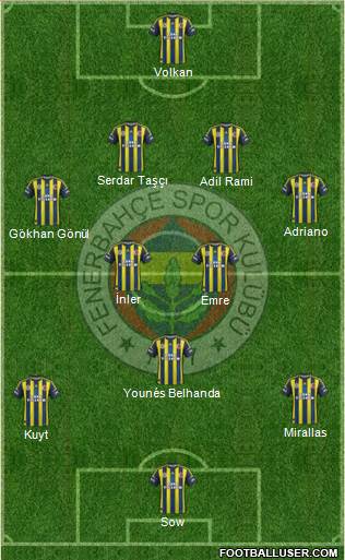 Fenerbahçe SK Formation 2013