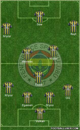 Fenerbahçe SK Formation 2013