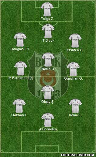 Besiktas JK Formation 2013