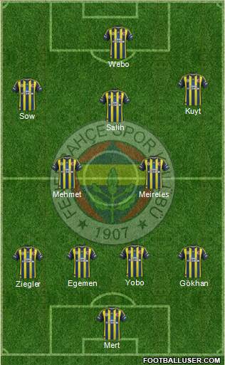 Fenerbahçe SK Formation 2013