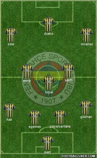 Fenerbahçe SK Formation 2013