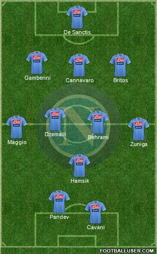 Napoli Formation 2013