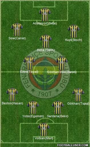 Fenerbahçe SK Formation 2013