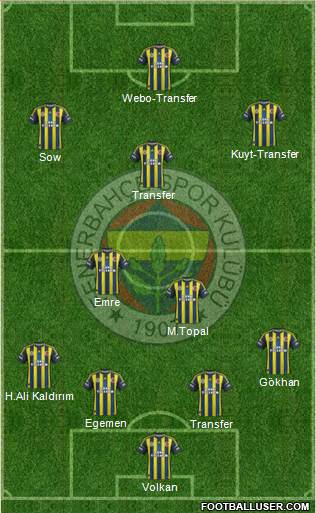 Fenerbahçe SK Formation 2013