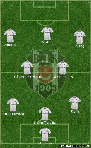 Besiktas JK Formation 2013