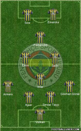 Fenerbahçe SK Formation 2013