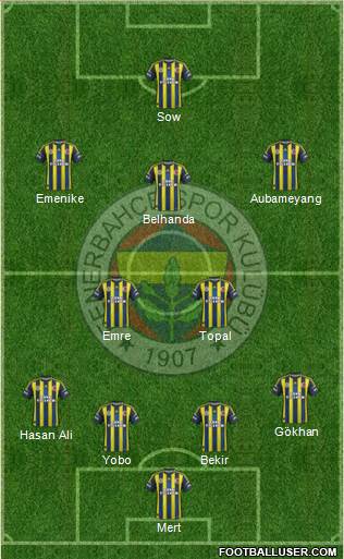 Fenerbahçe SK Formation 2013
