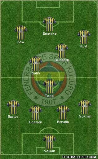 Fenerbahçe SK Formation 2013