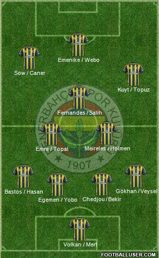 Fenerbahçe SK Formation 2013