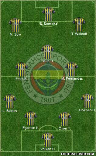 Fenerbahçe SK Formation 2013