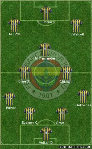 Fenerbahçe SK Formation 2013
