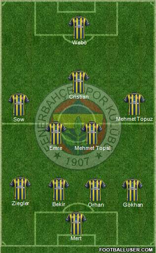 Fenerbahçe SK Formation 2013