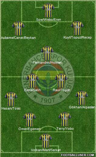 Fenerbahçe SK Formation 2013