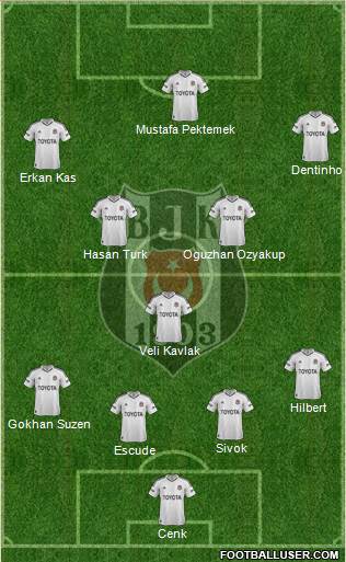Besiktas JK Formation 2013