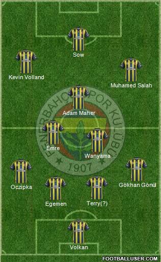 Fenerbahçe SK Formation 2013