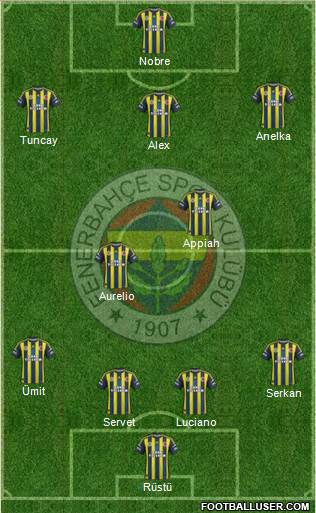 Fenerbahçe SK Formation 2013